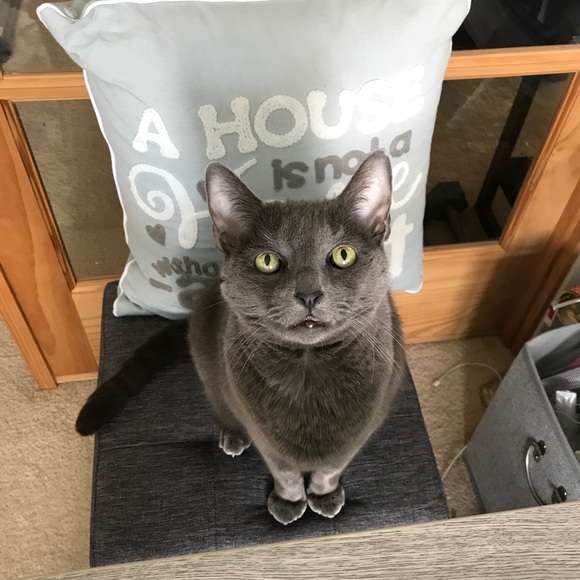 Shop our mom's closet! 😻😻😻 - Picture 11 of 16